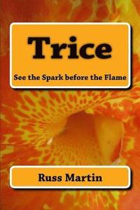 bokomslag Trice: See the Spark before the Flame: See the Spark before the Flame