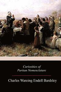 bokomslag Curiosities of Puritan Nomenclature