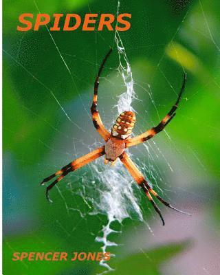 Spencer Jones - Spiders: Fun Facts & Amazing Pictures - Learn About Snakes, Häftad
