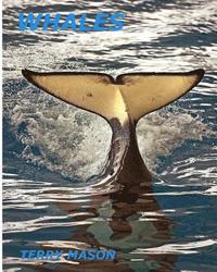 bokomslag Whales: Whale Facts for Kids, Whales Gentle Giants of the Sea