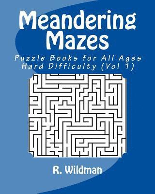 Meandering Mazes: Puzzle Books for All Ages - Hard Difficulty 1