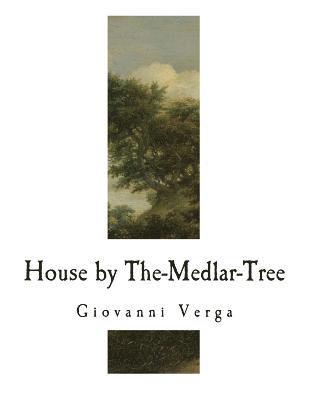 House by The-Medlar-Tree 1