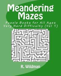 bokomslag Meandering Mazes: Puzzle Books for All Ages - Very Hard Difficulty