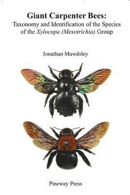 Jonathan Ralph Mawdsley - Giant Carpenter Bees: Taxonomy and Identification of the Species of the Xylocopa (Mesotrichia) Group, Häftad