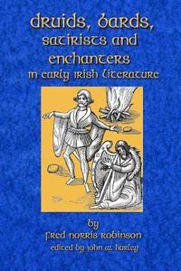bokomslag Druids Bards Satirists And Enchanters: In Early Irish Literature
