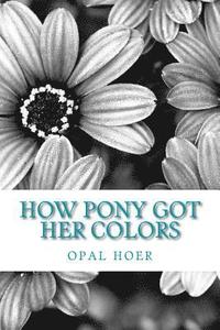 bokomslag how pony got her colors