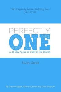 bokomslag Perfectly One: A 40-Day Focus on Unity in the Church