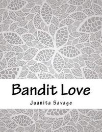 bokomslag Bandit Love