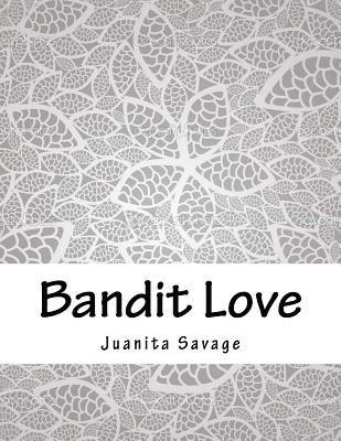 bokomslag Bandit Love