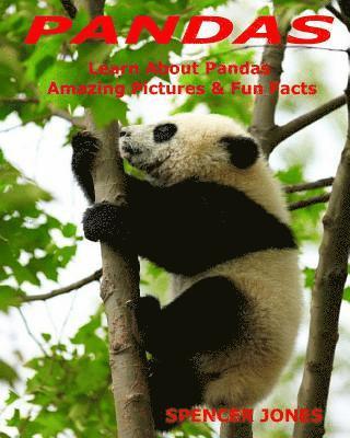 bokomslag Pandas: Learn About Pandas Amazing Pictures & Fun Facts