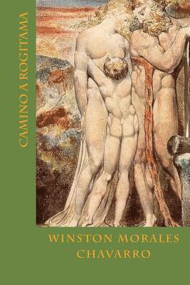 Winston Morales Chavarro - Camino a Rogitama, Häftad