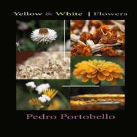 bokomslag Yellow & White Flowers: Photo Album