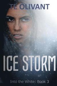 bokomslag Ice Storm