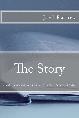 bokomslag The Story: God's Grand Narrative; Our Great Hope