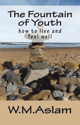 bokomslag The Fountain of Youth: how to live and feel well