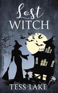 bokomslag Lost Witch (Torrent Witches Cozy Mysteries #9)