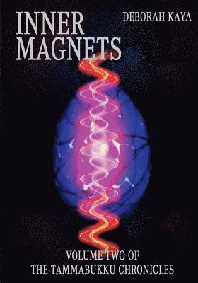 Inner Magnets 1