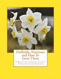 bokomslag Daffodils, Narcissus and How To Grow Them: Hardy Plants For Cut Flowers With a Guide To Varieties of Daffodils and Narcissus