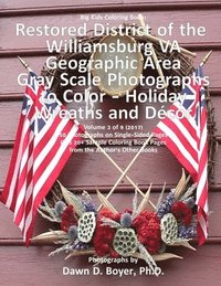 bokomslag Big Kids Coloring Book: Restored District Williamsburg VA Geographic Area: Gray Scale Photos to Color - Holiday Wreaths and Décor, Volume 3 of 9 - 201