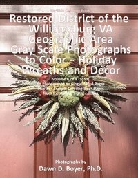 bokomslag Big Kids Coloring Book: Restored District Williamsburg VA Geographic Area: Gray Scale Photos to Color - Holiday Wreaths and Décor, Volume 6 of 9 - 201