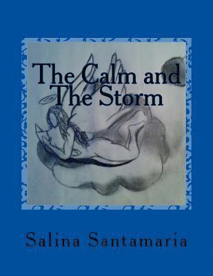 bokomslag The Calm and the Storm