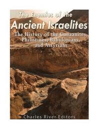 bokomslag The Enemies of the Ancient Israelites: The History of the Canaanites, Philistines, Babylonians, and Assyrians