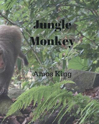 Jungle Monkey 1