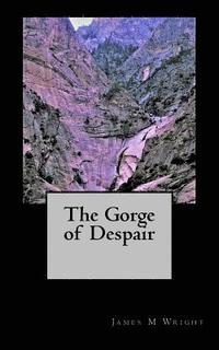 bokomslag The Gorge of Despair