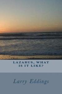 bokomslag Lazarus, What Is It Like?