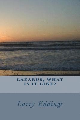 bokomslag Lazarus, What Is It Like?
