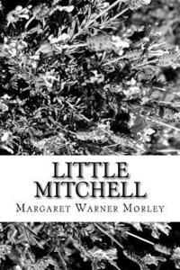 bokomslag Little Mitchell