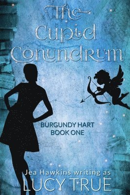 bokomslag Cupid Conundrum