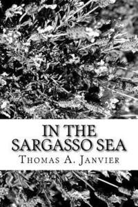 bokomslag In the Sargasso Sea