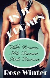 bokomslag In Je Dromen: Wilde Dromen, Hete Dromen, Stoute Dromen