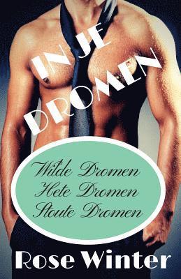 bokomslag In Je Dromen: Wilde Dromen, Hete Dromen, Stoute Dromen