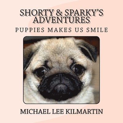 Michael Lee Kilmartin - Shorty & Sparky's Adventures, Häftad