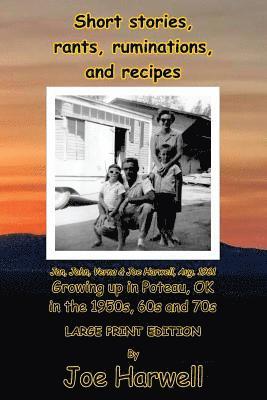 bokomslag Short stories, rants, ruminations and recipes