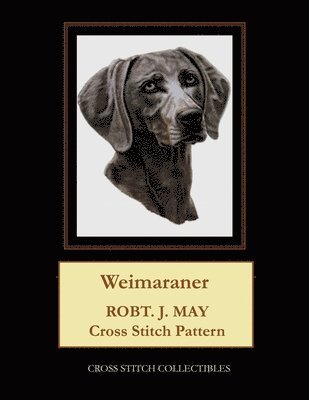 Weimaraner 1