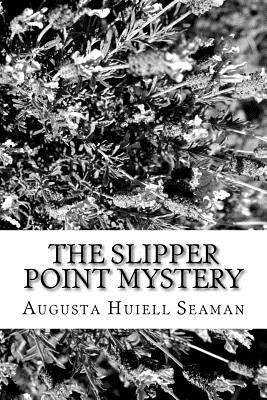 bokomslag The Slipper Point Mystery