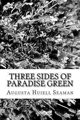 bokomslag Three Sides of Paradise Green