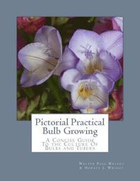 bokomslag Pictorial Practical Bulb Growing: A Concise Guide To the Culture Of Bulbs and Tubers
