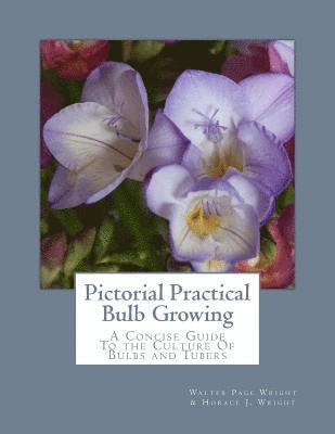 Pictorial Practical Bulb Growing: A Concise Guide To the Culture Of Bulbs and Tubers 1