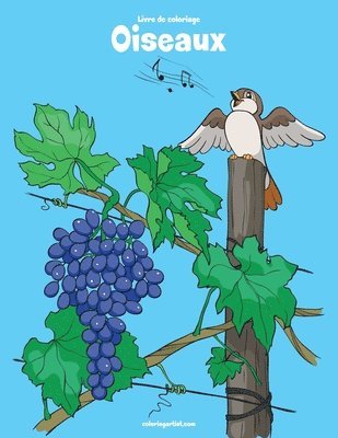 bokomslag Livre de coloriage Oiseaux 4, 5 & 6