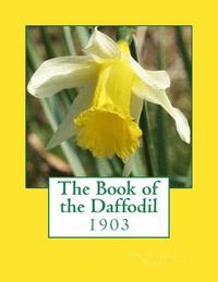 bokomslag The Book of the Daffodil