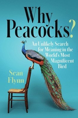 Sean Flynn - Why Peacocks?: An Unlikely Search for Meaning in the World's Most Magnificent Bird, Inbunden