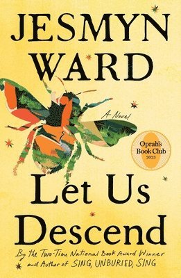 bokomslag Let Us Descend (Oprah's Book Club)
