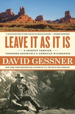 David Gessner - Leave It As It Is, Häftad