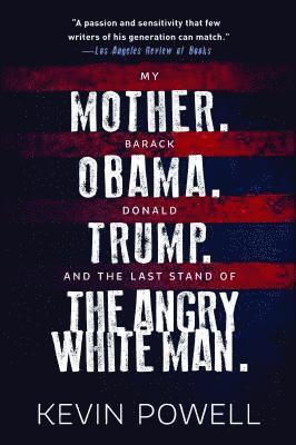 bokomslag My Mother. Barack Obama. Donald Trump. And the Last Stand of the Angry White Man.