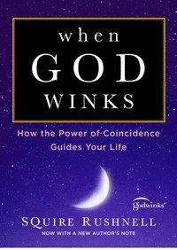 bokomslag When God Winks: How the Power of Coincidence Guides Your Life