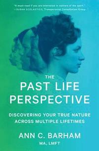 bokomslag The Past Life Perspective: Discovering Your True Nature Across Multiple Lifetimes
